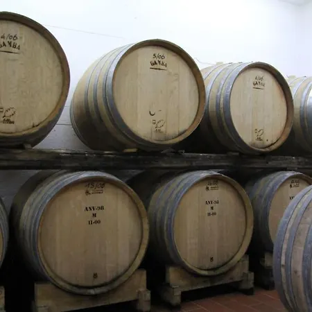 Il Poggiolino - Tuscan Located In Chianti's Hills Badia A Passignano